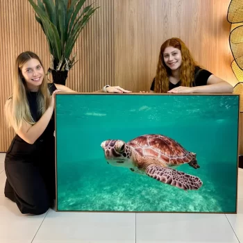 Quadro Decorativo Animais Marinhos Tartaruga