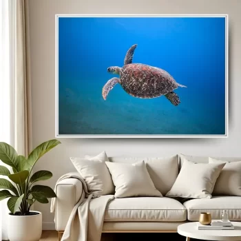 Quadro Decorativo Tartaruga l