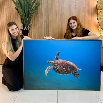 Quadro Decorativo Tartaruga l