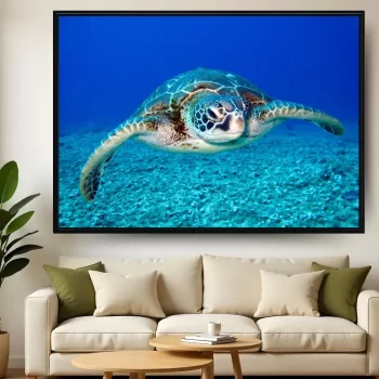 Quadro Decorativo Tartaruga Marinha