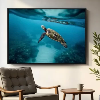 Quadro Decorativo Animal Tartaruga