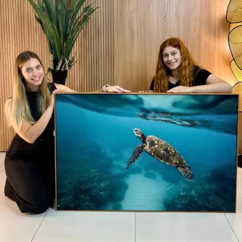 Quadro Decorativo Animal Tartaruga