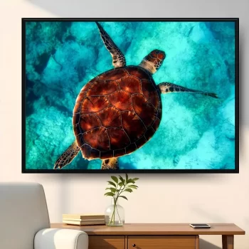 Quadro Decorativo Tartaruga ll