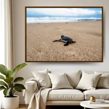 Quadro Decorativo Tartaruga Na Areia