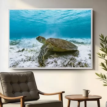 Quadro Decorativo Tartaruga Animais Marinhos