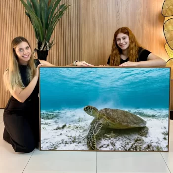 Quadro Decorativo Tartaruga Animais Marinhos