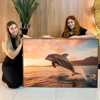 Quadro Decorativo Golfinho l