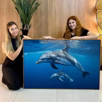 Quadro Decorativo Dois Golfinhos l