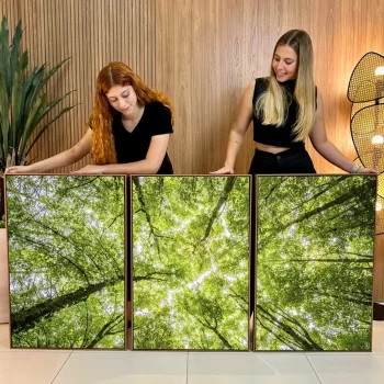 Kit Quadro Decorativo Árvores Verdes 3 Partes