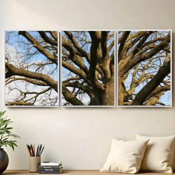 Kit Quadro Decorativo Árvore Seca 3 Partes