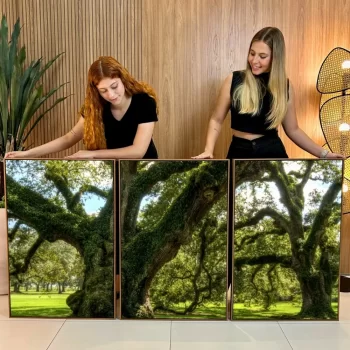Kit Quadro Decorativo Paisagem Com Árvores 3 Partes