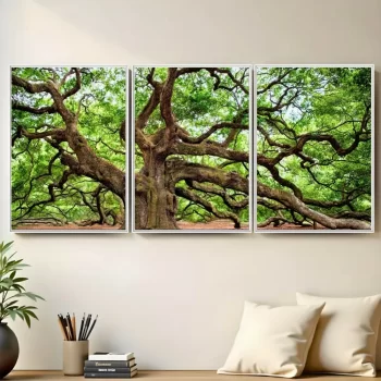 Kit Quadro Decorativo Árvore Centenária 3 Partes