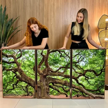 Kit Quadro Decorativo Árvore Centenária 3 Partes