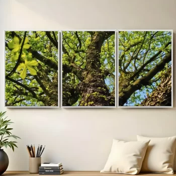 Kit Quadro Decorativo Tronco Verde 3 Partes