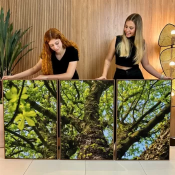 Kit Quadro Decorativo Tronco Verde 3 Partes
