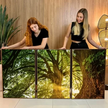 Kit Quadro Decorativo Natureza Verde 3 Partes