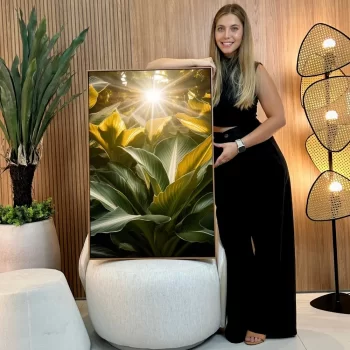 Quadro Decorativo Folhagens Raio De Luz