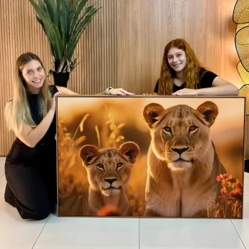 Quadro Decorativo Leoa Com Filhote I