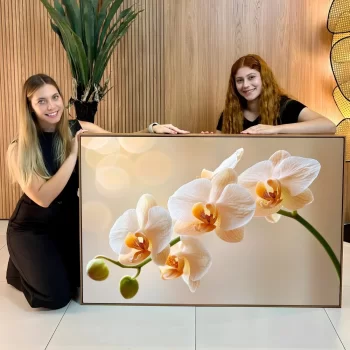 Quadro Decorativo Orquídea Branca