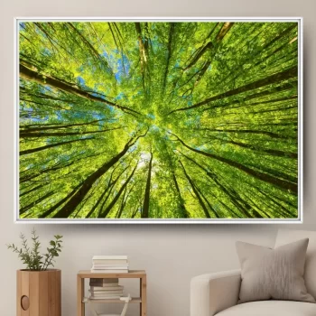 Quadro Decorativo Copa Das Árvores II